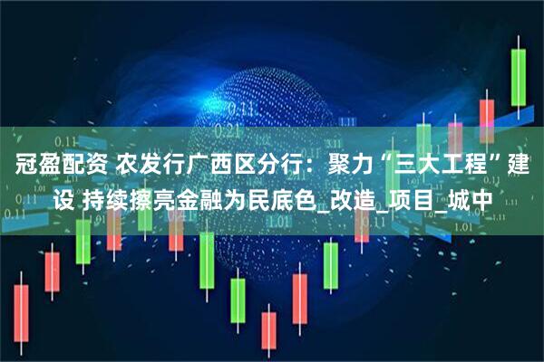 冠盈配资 农发行广西区分行：聚力“三大工程”建设 持续擦亮金融为民底色_改造_项目_城中